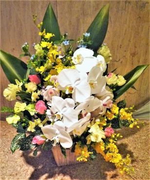 御祝アレンジメント・御注文ありがとうございました。｜「銀座ニューフラワー」　（東京都中央区の花キューピット加盟店 花屋）のブログ