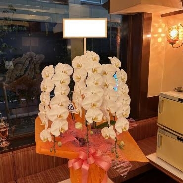 お祝いの胡蝶蘭をお届け致しました。ご注文ありがとうございました。｜「銀座ニューフラワー」　（東京都中央区の花キューピット加盟店 花屋）のブログ