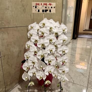 1周年お祝い胡蝶蘭お届けいたしました｜「銀座ニューフラワー」　（東京都中央区の花キューピット加盟店 花屋）のブログ