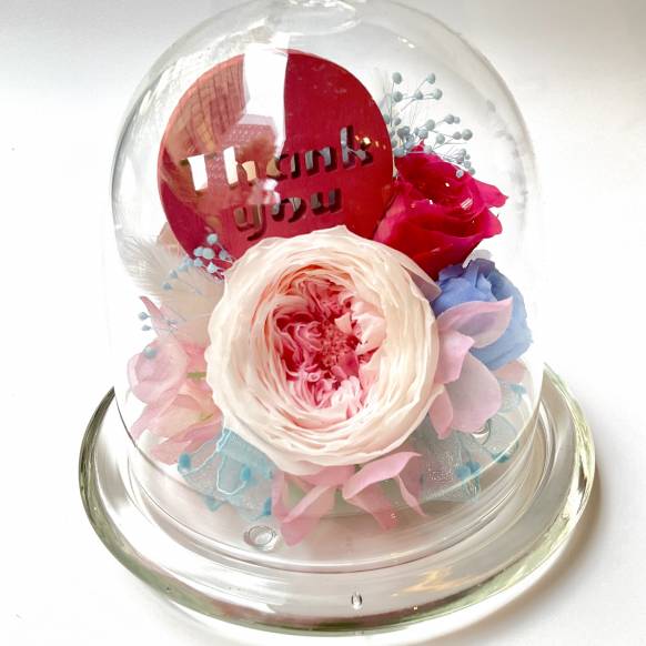 Thank you ローズドーム 【P-214】