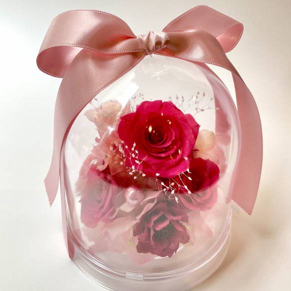 ローズドーム　ピンク【P-230】