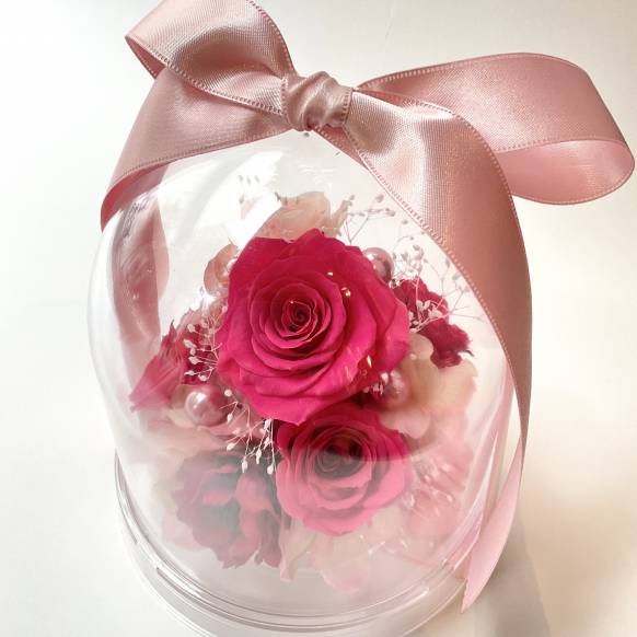 ローズドーム　ピンク【P-230】