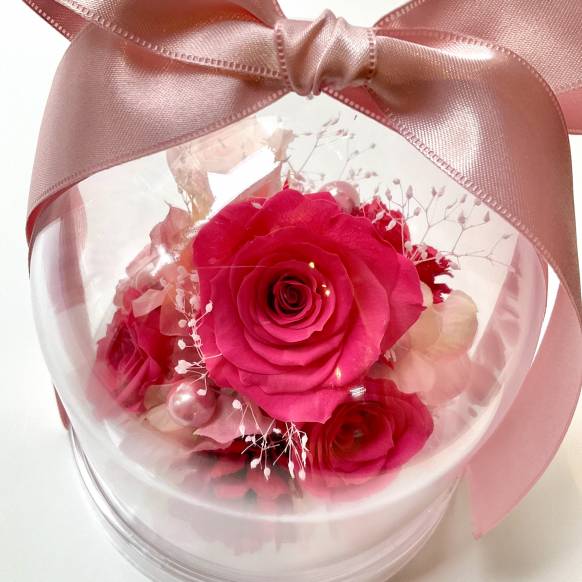 ローズドーム　ピンク【P-230】