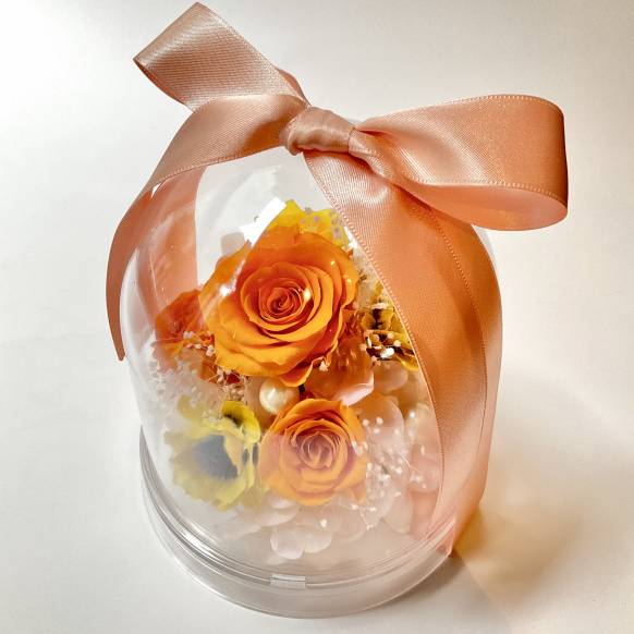 ローズドーム　オレンジ【P-234】