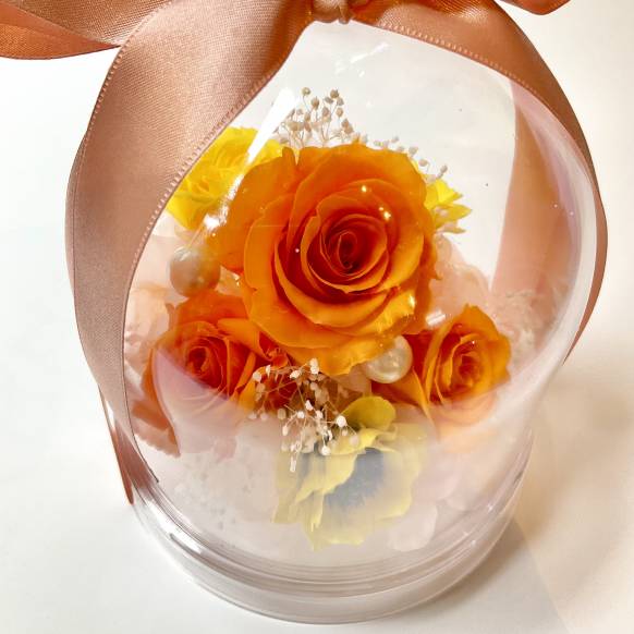 ローズドーム　オレンジ【P-234】