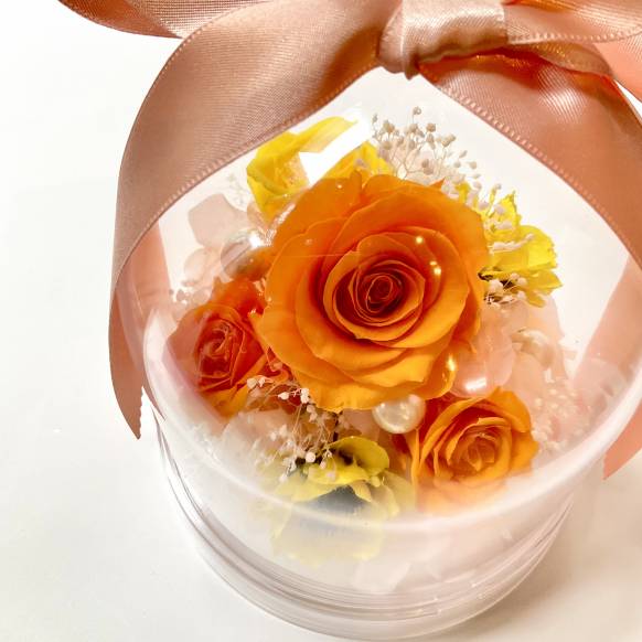 ローズドーム　オレンジ【P-234】