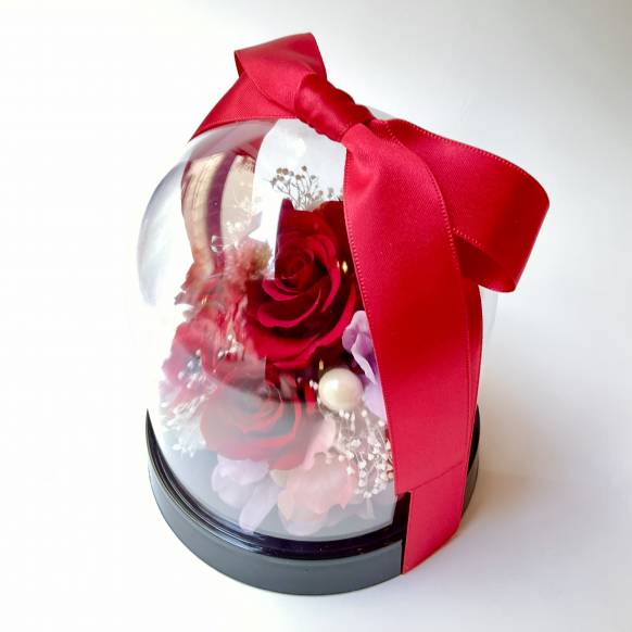 ローズドーム　レッド【P-240】