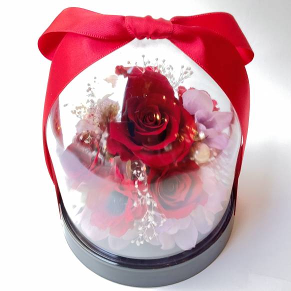 ローズドーム　レッド【P-240】