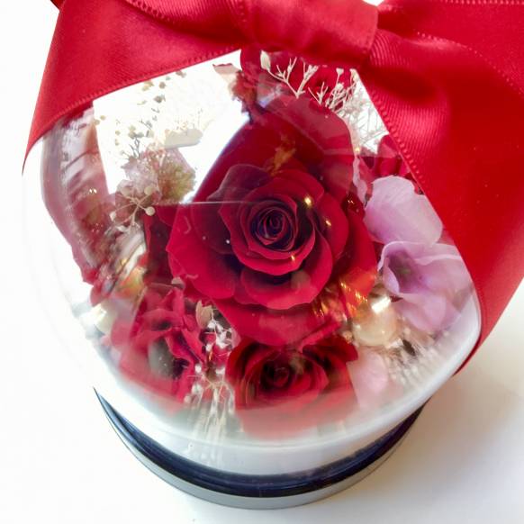 ローズドーム　レッド【P-240】